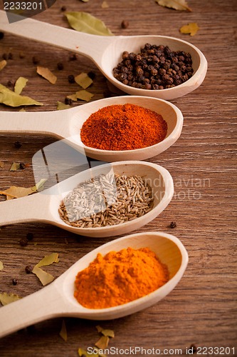 Image of Colorful spices