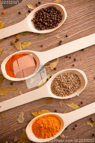 Image of spices in the spooins
