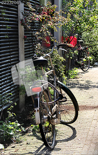 Image of Amsterdam bicycle 
