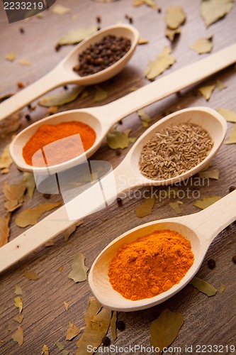 Image of spices - pepper, curry, chilli, caraway