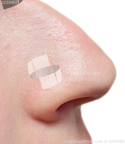 Image of human nose