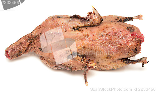 Image of raw duck