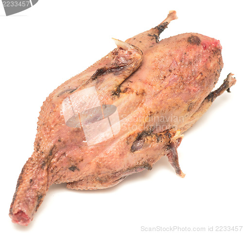 Image of raw duck