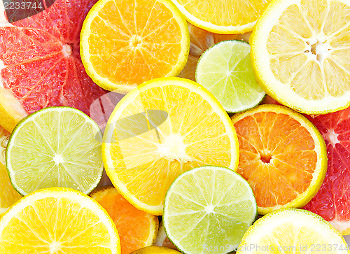 Image of Citrus