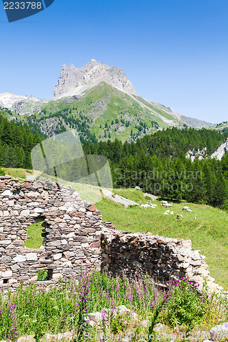 Image of Italian Alps