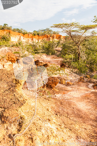 Image of Marafa Canyon - Kenya