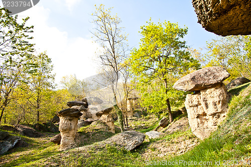 Image of Imaginative forest landscape