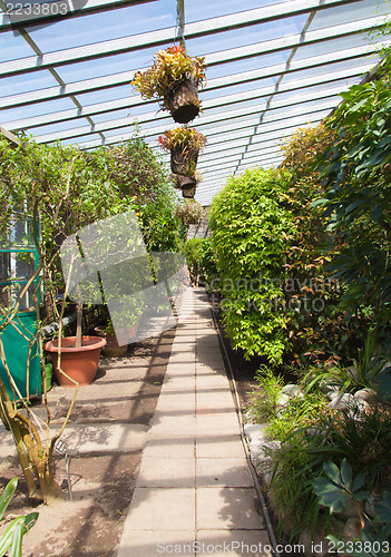 Image of Greenhouse interior