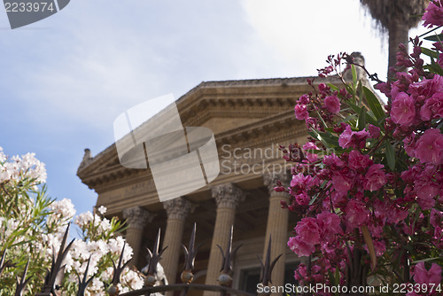 Image of Teatro Massimo with flowers