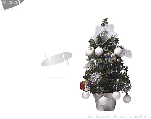 Image of Christmas tree