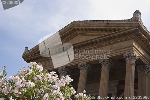 Image of Teatro Massimo with flowers