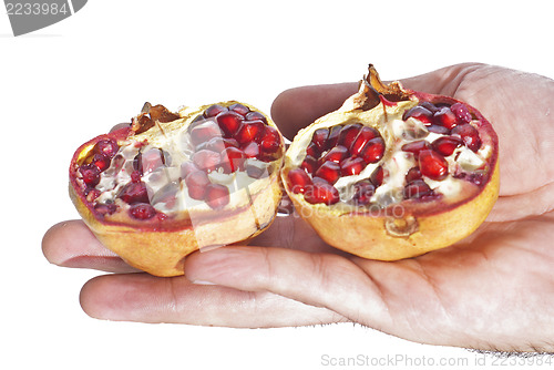 Image of fresh pomegranate in hand