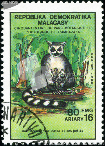 Image of REPULLICA MALAGASY - CIRCA 1988: A stamp printed in Malagasy (Ma