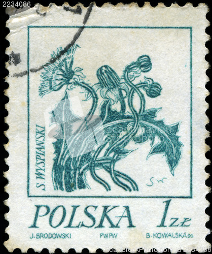 Image of POLAND - CIRCA 1968: A stamp is printed in Poland, flower, let o