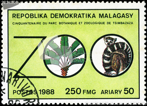 Image of REPULLICA MALAGASY - CIRCA 1988: A stamp printed in Malagasy (Ma