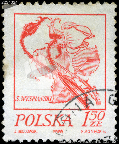 Image of POLAND - CIRCA 1968: A stamp is printed in Poland, flower, let o