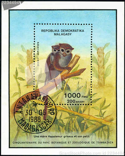 Image of REPULLICA MALAGASY - CIRCA 1988: A stamp printed in Malagasy (Ma