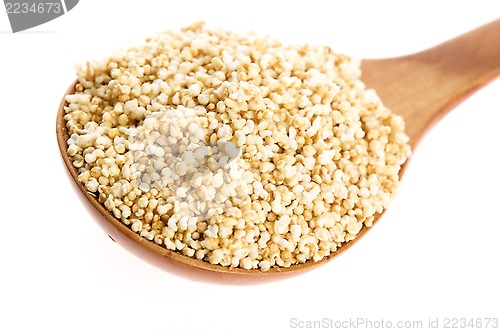 Image of Amaranth popping, gluten-free, high protein grain cereal