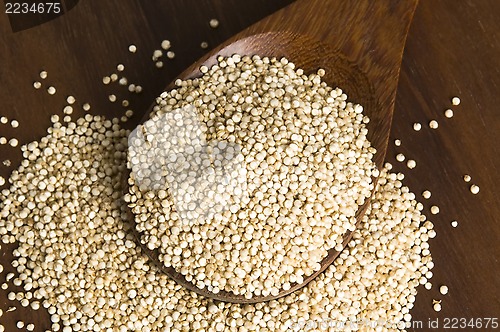 Image of Quinoa grain