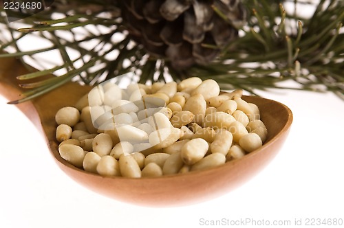 Image of Pine nuts