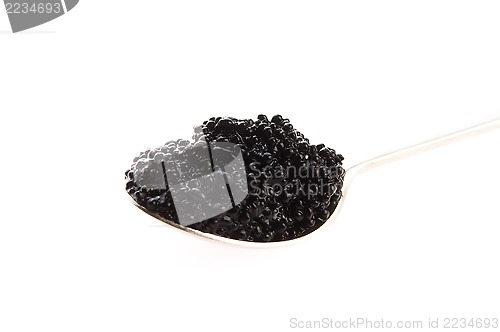 Image of black caviar in spoon on white background