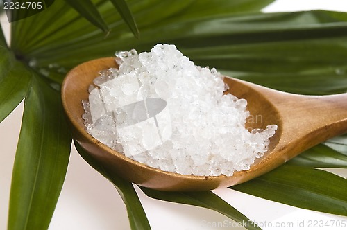 Image of bath salt and palm leaf 