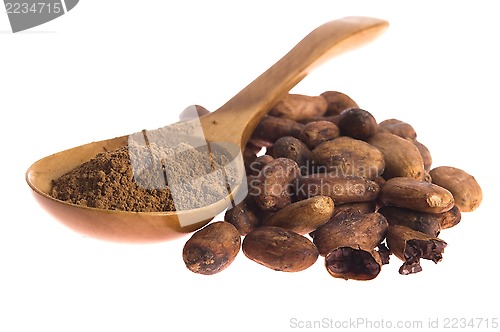 Image of Cacao beans isolated on white background