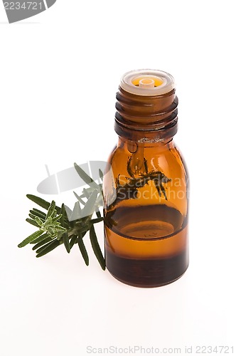Image of Rosemary oil