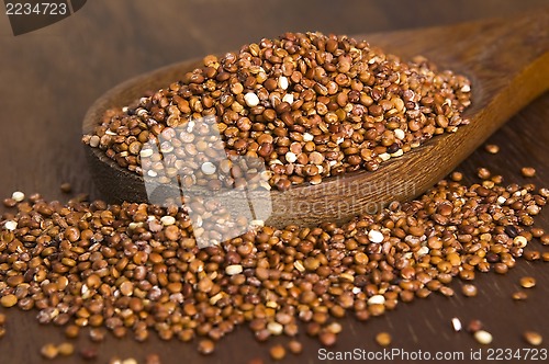 Image of Quinoa grain