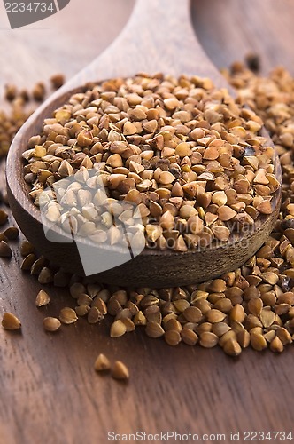 Image of Buckwheat seeds on wooden spoon in closeup 