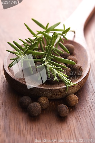 Image of allspice with fresh rosemary