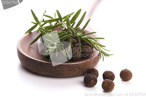 Image of allspice with fresh rosemary