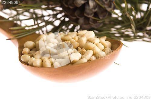 Image of Pine nuts