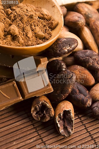 Image of Cocoa (cacao) beans with chocolate