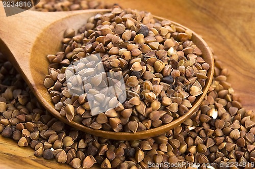 Image of Buckwheat seeds on wooden spoon in closeup 