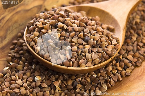 Image of Buckwheat seeds on wooden spoon in closeup 