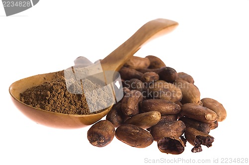 Image of Cacao beans isolated on white background