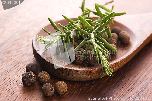 Image of allspice with fresh rosemary