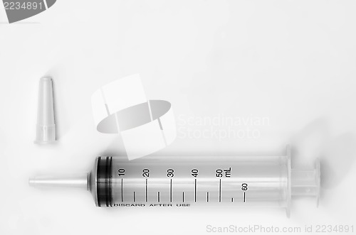 Image of Large Syringe With Cap