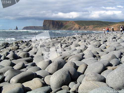 Image of Walking the shore