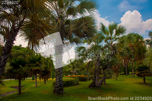 Image of Garden