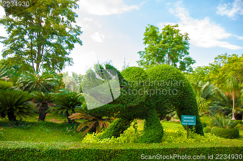 Image of Garden