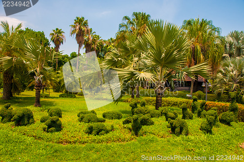 Image of Garden
