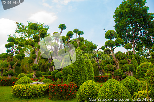 Image of Garden