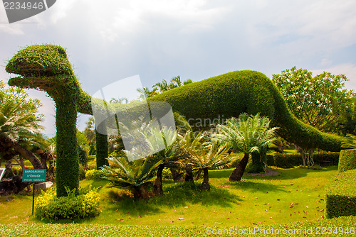 Image of Garden