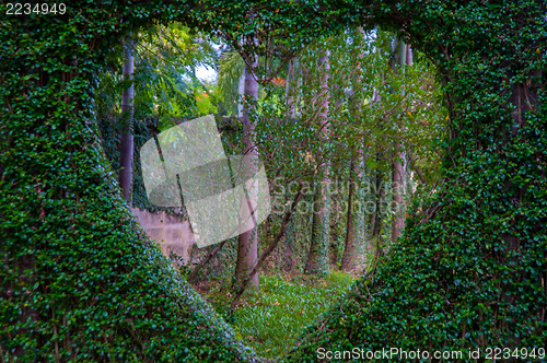 Image of Garden
