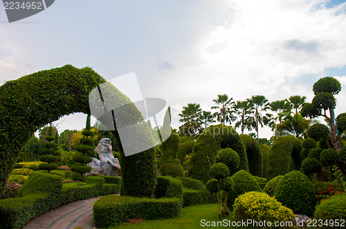 Image of Garden