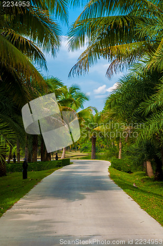 Image of Garden