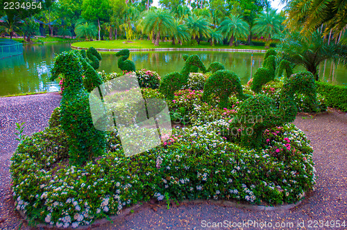 Image of Garden