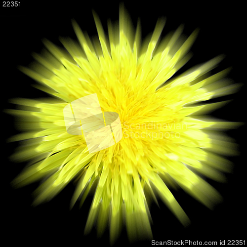 Image of Dandelion Abstract